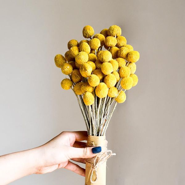 decorative flowers & wreaths 5pcs natural dried flower golden ball real bouquet for family dining table wedding marriage decoration pography
decorative flowers & wreaths 5pcs natural dried flower golden ball real bouquet for family dining table wedding marriage decoration pography