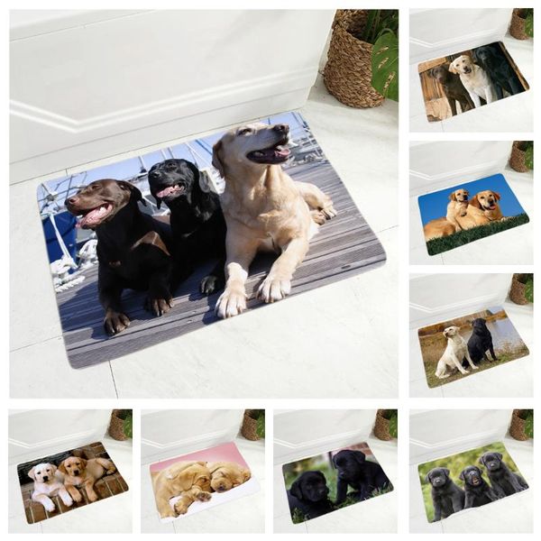 cushion/decorative pillow cute labrador floor door mat decor pet dog animal doormat nonslip super soft flannel 40x60cm rug for hallway kitch
cushion/decorative pillow cute labrador floor door mat decor pet dog animal doormat nonslip super soft flannel 40x60cm rug for hallway kitch