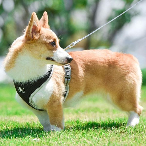 dog apparel reflective harness vest training leashes pet supplies walking with 1.5m collar leader rope for dogs cat outdoor
dog apparel reflective harness vest training leashes pet supplies walking with 1.5m collar leader rope for dogs cat outdoor