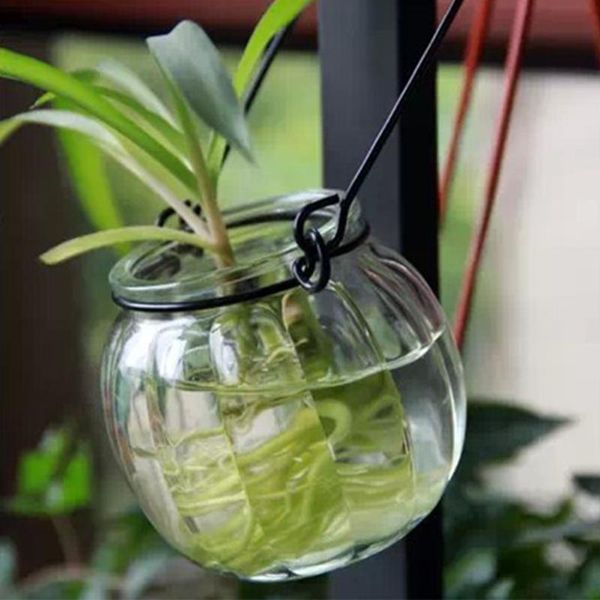 vases 1pc glass vase hanging terrarium succulents plant landscape home decor gift
vases 1pc glass vase hanging terrarium succulents plant landscape home decor gift