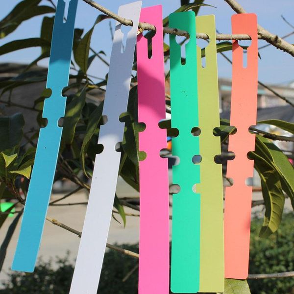plant label gardening flower plastic ring set waterproof marker signboard garden decorations
plant label gardening flower plastic ring set waterproof marker signboard garden decorations