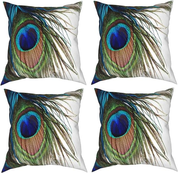pillow case green 3d peacock feather decoration square pillowcase 18x18 inch sofa living room 4 four season pillows
pillow case green 3d peacock feather decoration square pillowcase 18x18 inch sofa living room 4 four season pillows