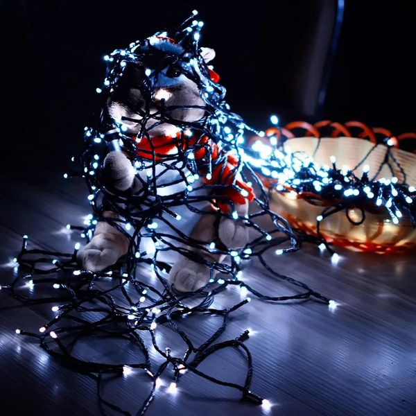 ssl-13 led 7m 50led solar panel string light holiday garden christmas wedding decoration - colorful
ssl-13 led 7m 50led solar panel string light holiday garden christmas wedding decoration - colorful