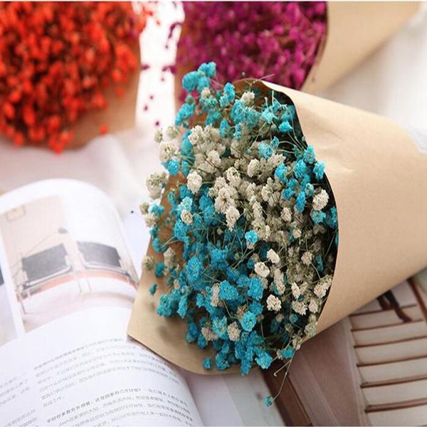 decorative flowers & wreaths starry dried flower handmade bouquet decoration holiday party home furnishing real small fresh arrangement
decorative flowers & wreaths starry dried flower handmade bouquet decoration holiday party home furnishing real small fresh arrangement