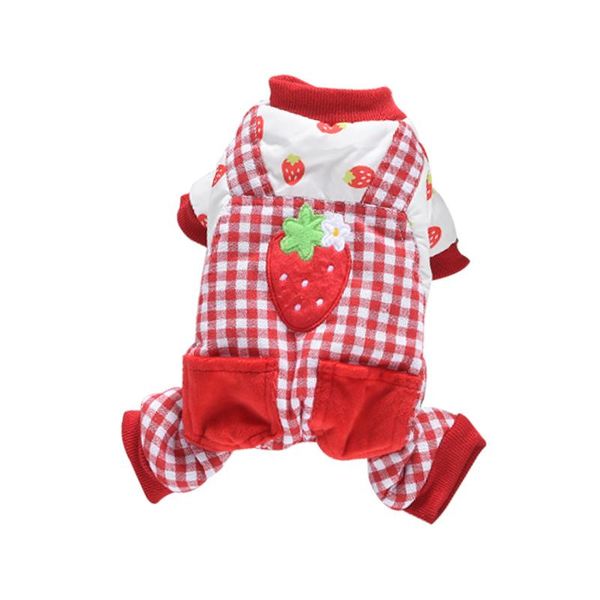 dog apparel cute strawberry clothes winter pet costume small clothing jumpsuit poodle bichon frise pug coat
dog apparel cute strawberry clothes winter pet costume small clothing jumpsuit poodle bichon frise pug coat
