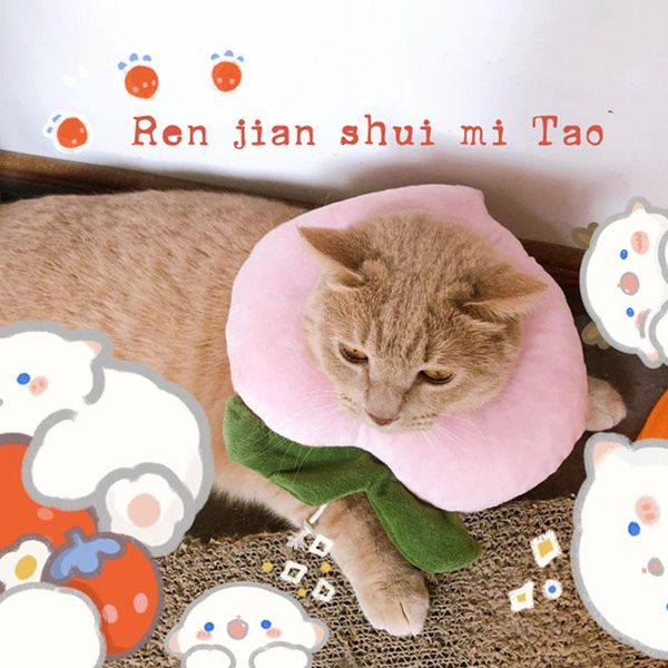 cat collars & leads pet elizabeth circle collar avocado bread shaped cotton adjustable dogs protective neck cone recovery wound
cat collars & leads pet elizabeth circle collar avocado bread shaped cotton adjustable dogs protective neck cone recovery wound