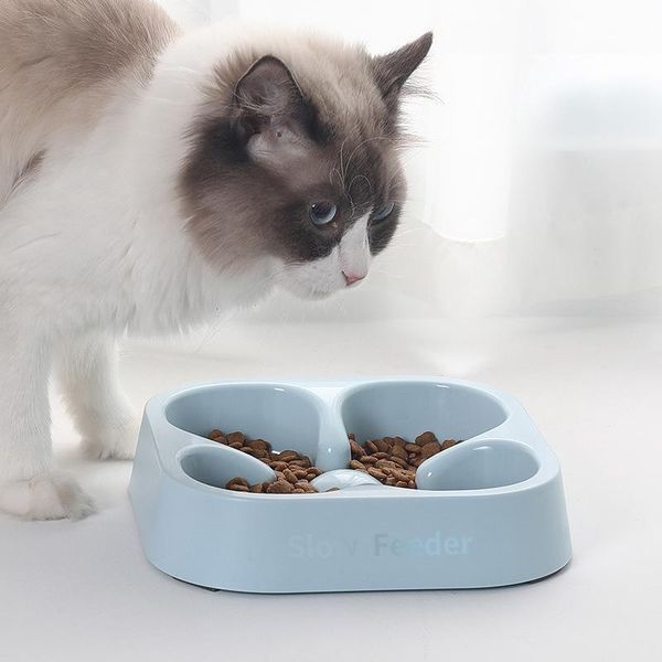 dog bowls & feeders fashion simple slow bowl cat bichon teddy pp resin and general anti-choke
dog bowls & feeders fashion simple slow bowl cat bichon teddy pp resin and general anti-choke