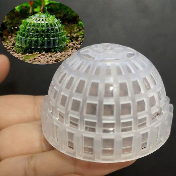 decorations aquarium mineral fertilizer plant ball for moss waterweed grass aquatic plant,diy decorate
decorations aquarium mineral fertilizer plant ball for moss waterweed grass aquatic plant,diy decorate