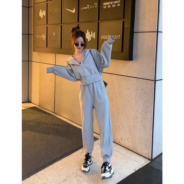 women's tracksuits hooded cardigan sweater suit early spring leisure wide leg legged sports pants net red fried street two piece set, Gray
women's tracksuits hooded cardigan sweater suit early spring leisure wide leg legged sports pants net red fried street two piece set, Gray