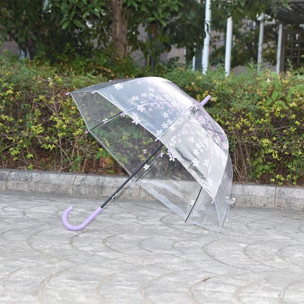 umbrellas fashion cherry blossom mushroom apollo princess women rain sakura long handle transparent clear umbrella 30pcs
umbrellas fashion cherry blossom mushroom apollo princess women rain sakura long handle transparent clear umbrella 30pcs