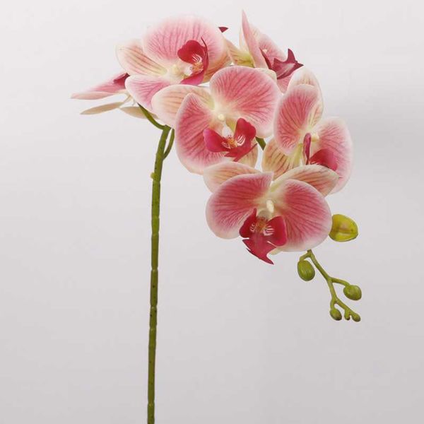 decorative flowers & wreaths 9heads butterfly orchid artificial flower wedding home display decor phalaenopsis floral arrangement material
decorative flowers & wreaths 9heads butterfly orchid artificial flower wedding home display decor phalaenopsis floral arrangement material