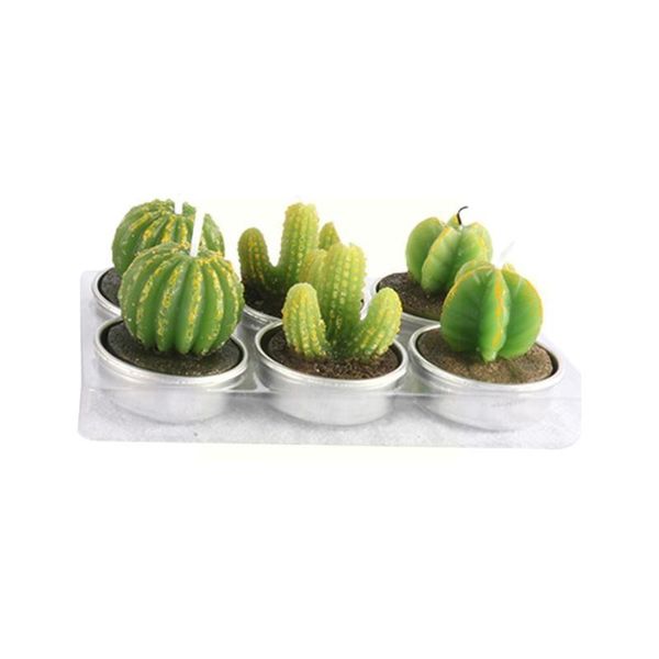 candles 6pcs 3d cactus candle simulated plant set home decoration artificial tea light decor t4k6
candles 6pcs 3d cactus candle simulated plant set home decoration artificial tea light decor t4k6