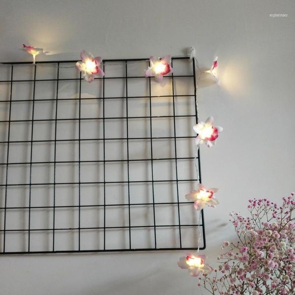christmas decorations orchid rose wire grid po wall clip light string creative led wedding decoration1
christmas decorations orchid rose wire grid po wall clip light string creative led wedding decoration1