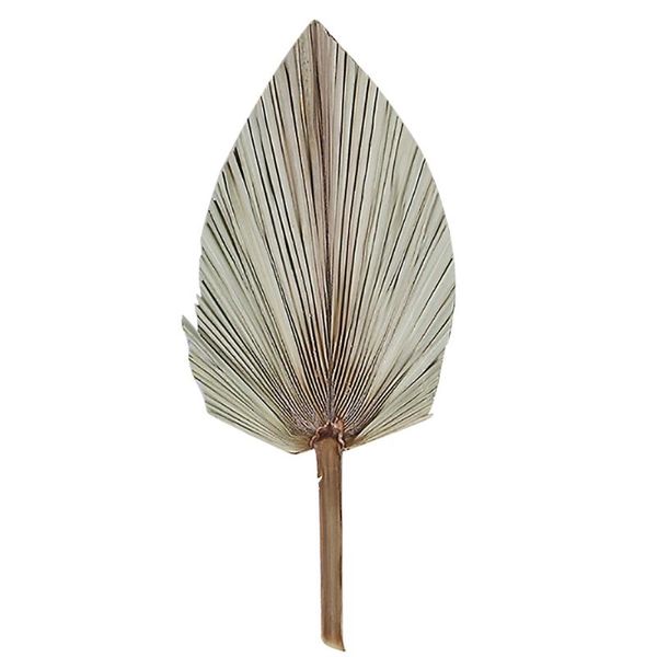 fan leaves palm leaf dried flower wedding arch arrangement wall for window reception party art hanging decoration decorative flowers & wreat
fan leaves palm leaf dried flower wedding arch arrangement wall for window reception party art hanging decoration decorative flowers & wreat