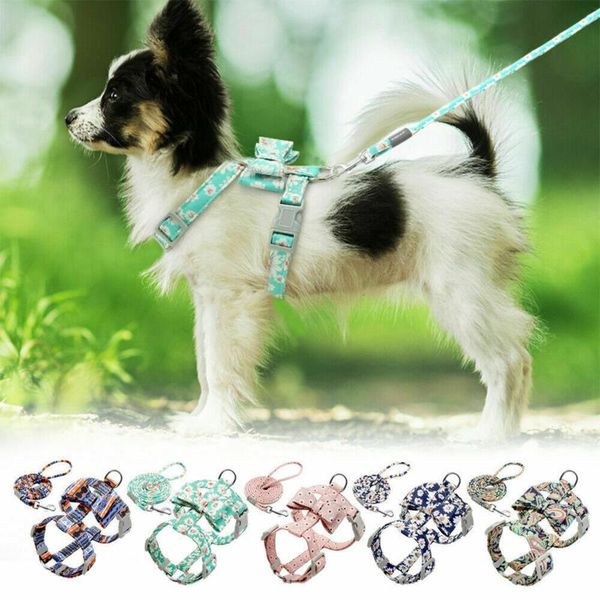 dog harness and leash set, adjustable soft vest harnesses with stretch lead for dogs cats collars & leashes
dog harness and leash set, adjustable soft vest harnesses with stretch lead for dogs cats collars & leashes