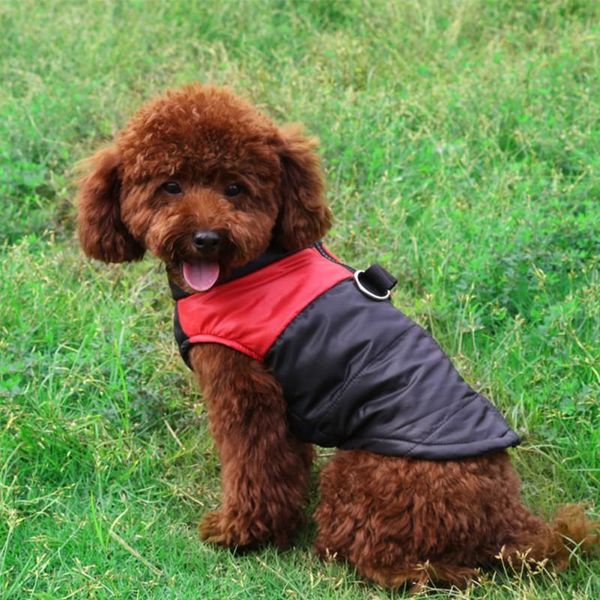 dog apparel dogs thicking vest coat windproof pet warm skiing cotton-padded sleeveless clothes puppy thickening outdoor sweatshirt small
dog apparel dogs thicking vest coat windproof pet warm skiing cotton-padded sleeveless clothes puppy thickening outdoor sweatshirt small