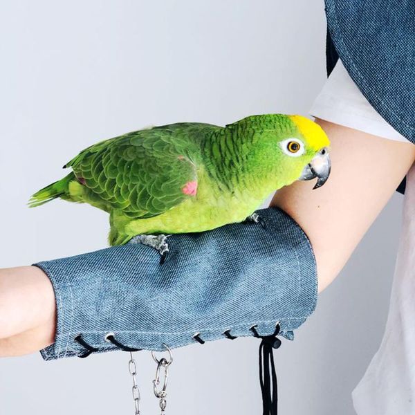 other bird supplies pet parrot shawl arm guard multi-purpose shoulder pad cover anti-scratch protective for stage
other bird supplies pet parrot shawl arm guard multi-purpose shoulder pad cover anti-scratch protective for stage
