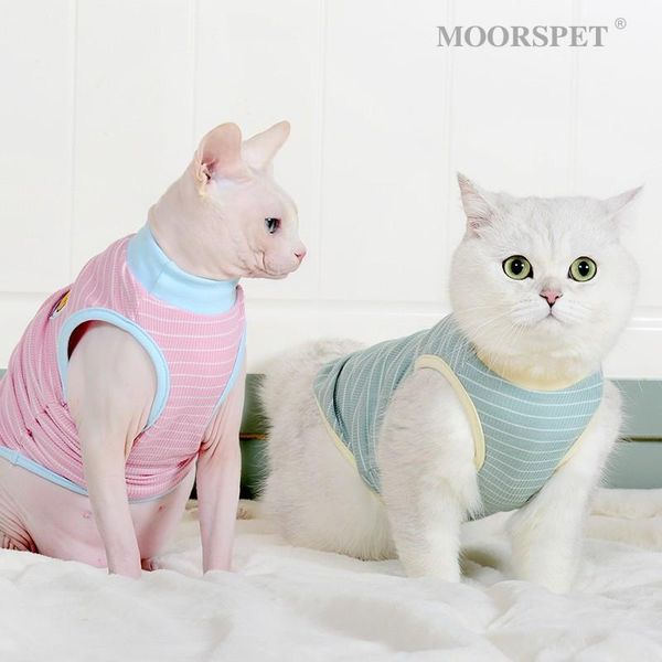 cute kitty clothes spring and summer thin pet cat anti hair vest accessories costumes
cute kitty clothes spring and summer thin pet cat anti hair vest accessories costumes