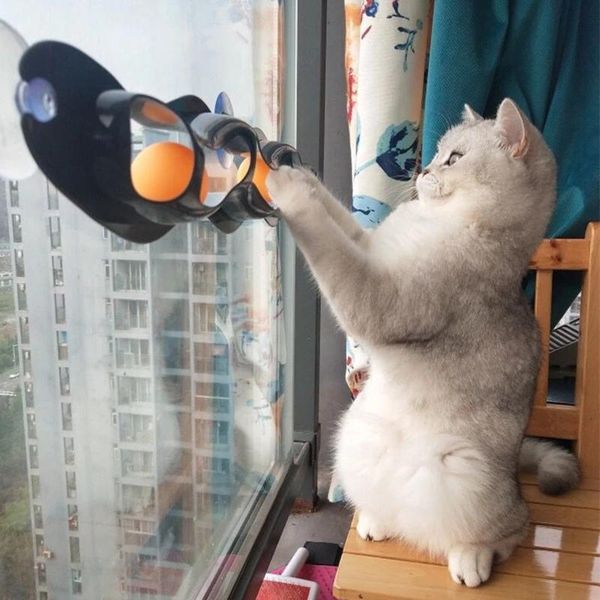 cats puzzle toy track window sucker toys ball funny cat scratcher tease pingpong table tennis pet educational
cats puzzle toy track window sucker toys ball funny cat scratcher tease pingpong table tennis pet educational