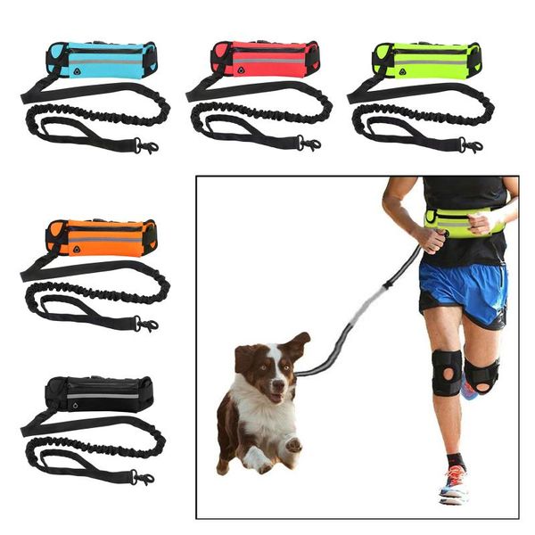 dog collars & leashes leash reflective durable collar lead rope polyester cat big small pet harness with portable waist bag
dog collars & leashes leash reflective durable collar lead rope polyester cat big small pet harness with portable waist bag