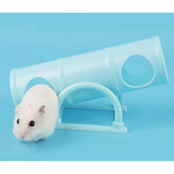 legendog 1pc hamster seesaw tube plastic toy tunnel interactive for pet supplies small animal
legendog 1pc hamster seesaw tube plastic toy tunnel interactive for pet supplies small animal