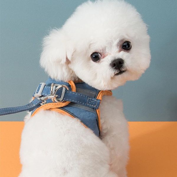 dog collars & leashes night reflective pet leash suede cat chest harness collar vest walking rope accessories
dog collars & leashes night reflective pet leash suede cat chest harness collar vest walking rope accessories