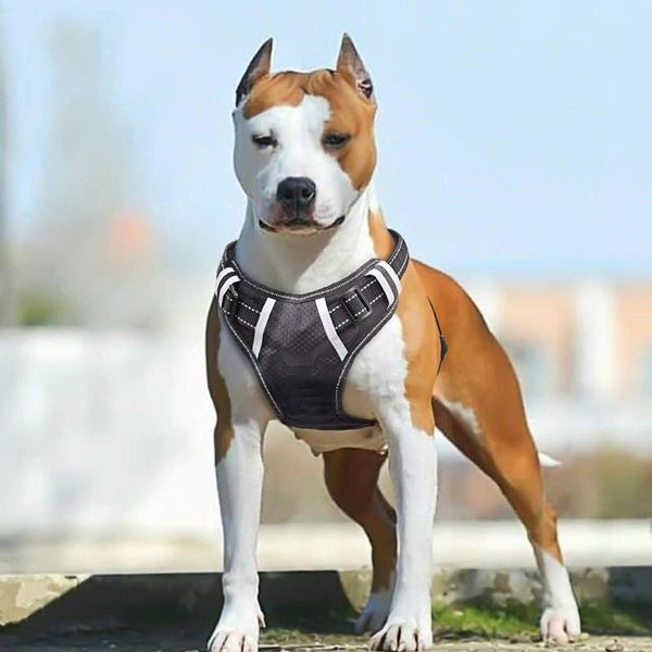 dog collars & leashes breathable no pull large harness vest soft adjustable reflective durable pet medium big easy control
dog collars & leashes breathable no pull large harness vest soft adjustable reflective durable pet medium big easy control