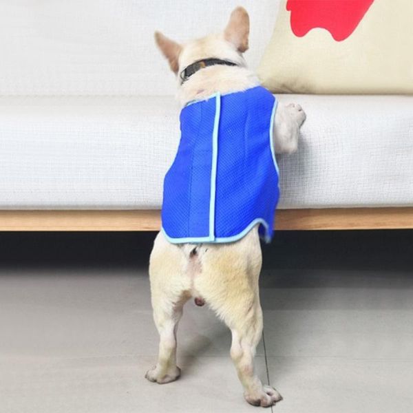 dog apparel summer pet mesh blue cooling vest jacket suitable for small, medium and large dogs
dog apparel summer pet mesh blue cooling vest jacket suitable for small, medium and large dogs