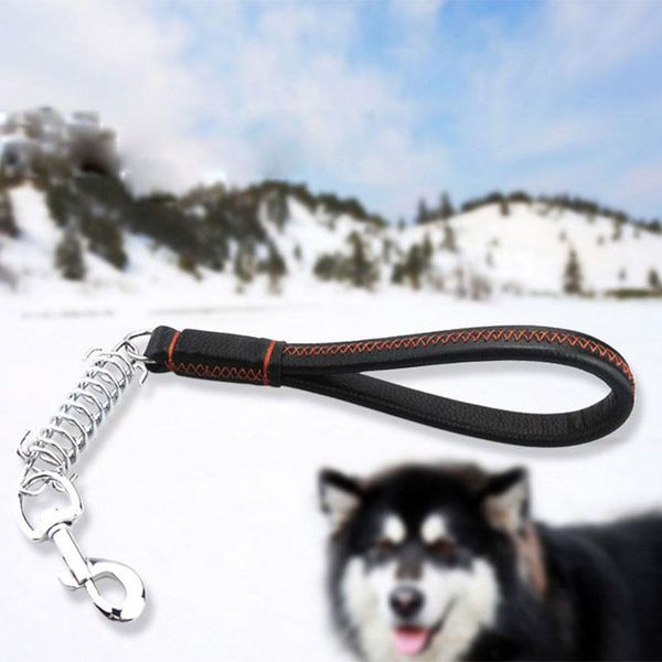 soft short leather dog leash for labrador samoyed gold retriever explosion-proof spring buffer pet walking training lead leashes collars &
soft short leather dog leash for labrador samoyed gold retriever explosion-proof spring buffer pet walking training lead leashes collars &