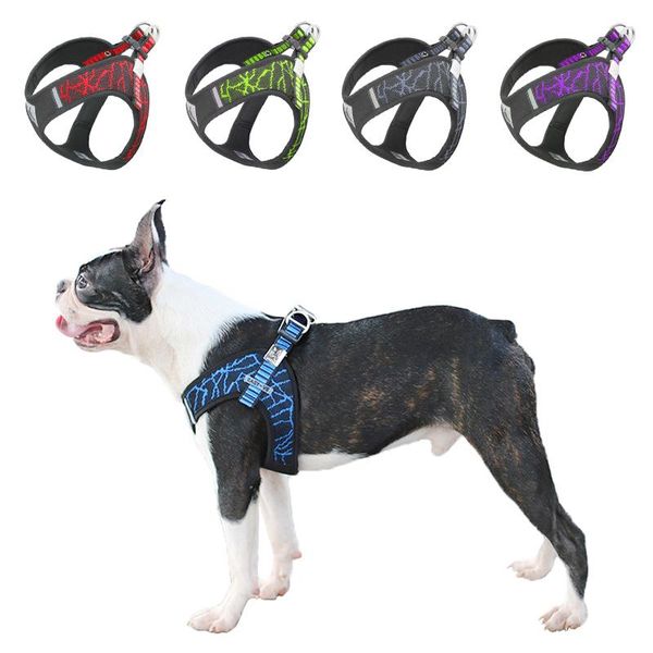 dog pet harness collar for large medium small accessories leads chest straps comfortable harnesses vest supplies collars & leashes
dog pet harness collar for large medium small accessories leads chest straps comfortable harnesses vest supplies collars & leashes