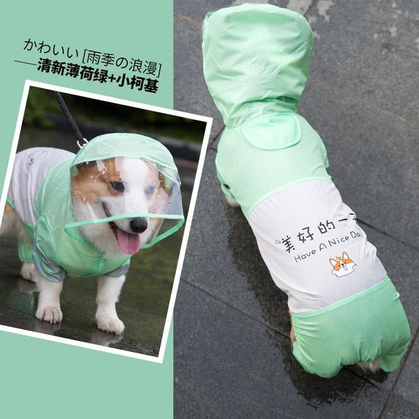 dog apparel small and medium sized pet four legged waterproof full package chai border grazing golden hair labrador poncho
dog apparel small and medium sized pet four legged waterproof full package chai border grazing golden hair labrador poncho