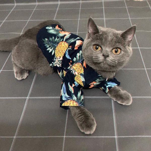 cat costumes pet clothes for cats spring summer fashion puppy dog vest t shirt kitty kitten shirts outfits clothing
cat costumes pet clothes for cats spring summer fashion puppy dog vest t shirt kitty kitten shirts outfits clothing