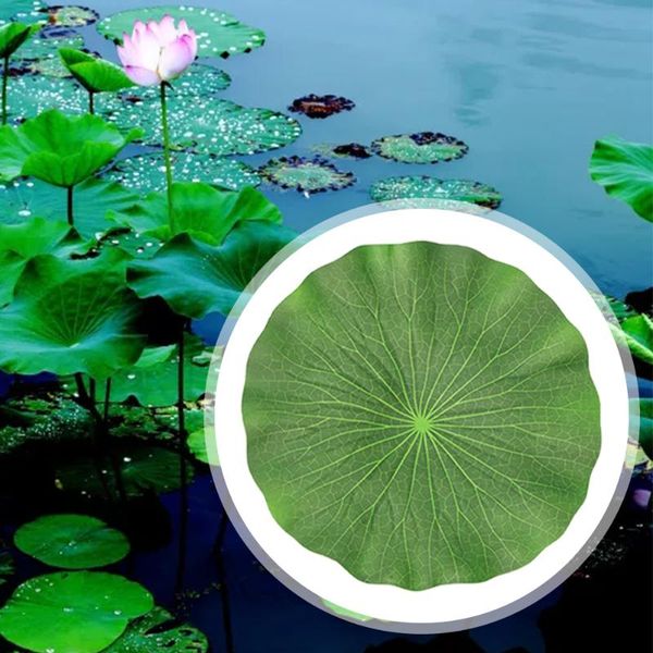 decorative flowers & wreaths gift garden scenery fish pond craft artificial lotus leaf pool decoration floating foam home water lily plant a
decorative flowers & wreaths gift garden scenery fish pond craft artificial lotus leaf pool decoration floating foam home water lily plant a