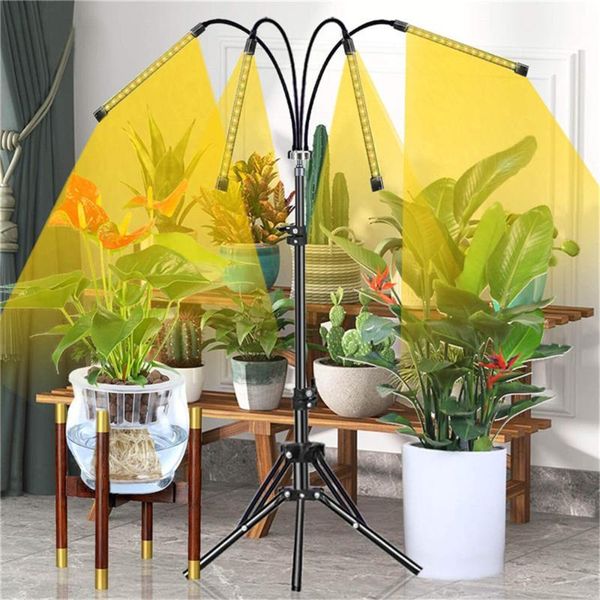 grow light 40w sunlike full spectrum dc 5v usb phyto lamp with tripod stand adjustable plants seeds indoor fitolamp box lights
grow light 40w sunlike full spectrum dc 5v usb phyto lamp with tripod stand adjustable plants seeds indoor fitolamp box lights