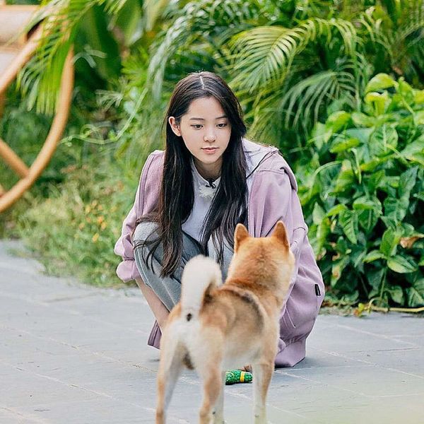 women's jackets coats ouyang nana star with autumn taro purple lovely print hooded sweater zipper coat fashion 4fve, Black;brown
women's jackets coats ouyang nana star with autumn taro purple lovely print hooded sweater zipper coat fashion 4fve, Black;brown