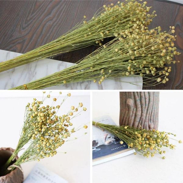 dried eucalyptus leaf real wheat natural flowers cotton flower wedding party home decoration diy craft scrapbook decorative & wreaths
dried eucalyptus leaf real wheat natural flowers cotton flower wedding party home decoration diy craft scrapbook decorative & wreaths