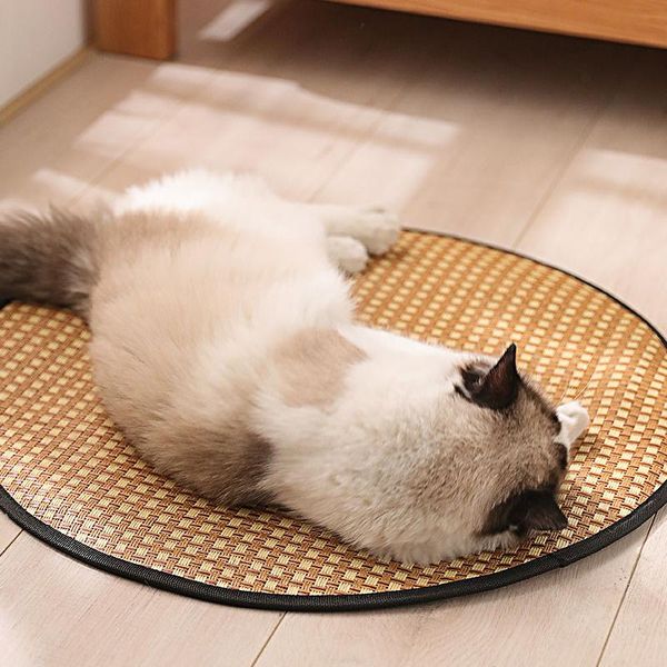cat mat pet cooling summer pad for small dogs cats blanket sofa breathable cool washable reusable sleeping bed mats kennels & pens
cat mat pet cooling summer pad for small dogs cats blanket sofa breathable cool washable reusable sleeping bed mats kennels & pens