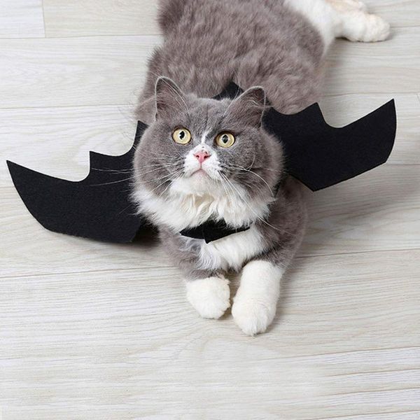cat costumes funny pet bat wing cosplay costume prop halloween fancy dress for small puppy outfit wings props headwear
cat costumes funny pet bat wing cosplay costume prop halloween fancy dress for small puppy outfit wings props headwear