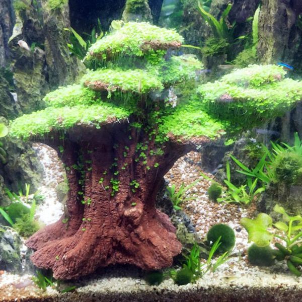 aquarium decoration rockery that can grow plants ornaments fish tank landscaping aquascape decor diy accessories decorations
aquarium decoration rockery that can grow plants ornaments fish tank landscaping aquascape decor diy accessories decorations