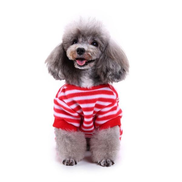 dog apparel cute clothes christmas pet striped four-legged santa claus merry year decor
dog apparel cute clothes christmas pet striped four-legged santa claus merry year decor