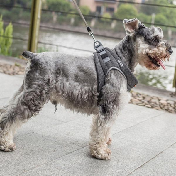 dog collars & leashes soft mesh padded cat vest harness no pull walking harnesses for puppy small dogs and cats
dog collars & leashes soft mesh padded cat vest harness no pull walking harnesses for puppy small dogs and cats