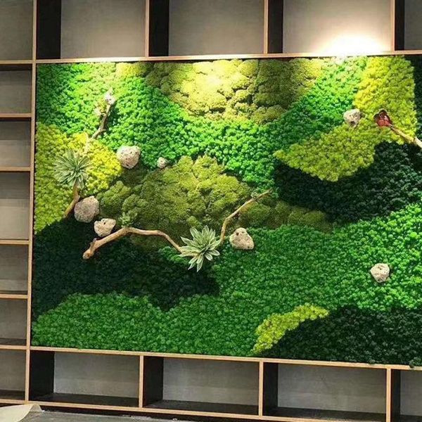 decorative flowers & wreaths preservedflower moss flower material box,home decoration200g moss,company background wall decoration,green plan
decorative flowers & wreaths preservedflower moss flower material box,home decoration200g moss,company background wall decoration,green plan
