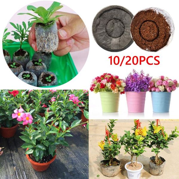 planters & pots 10/20pcs seedling soil block plugs seeds start household garden jiffy peat pellets maker starting planting elements
planters & pots 10/20pcs seedling soil block plugs seeds start household garden jiffy peat pellets maker starting planting elements