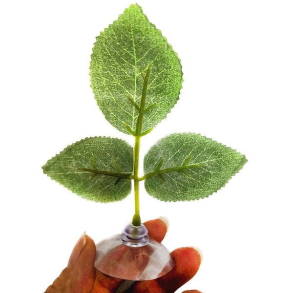 aquarium landscape artificial leaf betta fish rest spawning ornamental plant play relax hide hammock decorations
aquarium landscape artificial leaf betta fish rest spawning ornamental plant play relax hide hammock decorations