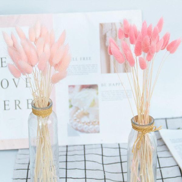 decorative flowers & wreaths natural 's tail grass light color wedding bunch dried pampas reed flower home decor imitation plants
decorative flowers & wreaths natural 's tail grass light color wedding bunch dried pampas reed flower home decor imitation plants