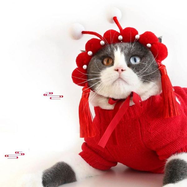cat costumes lovely pet headdress attractive skin friendly hair rope kitten head hoop supplies hairband
cat costumes lovely pet headdress attractive skin friendly hair rope kitten head hoop supplies hairband
