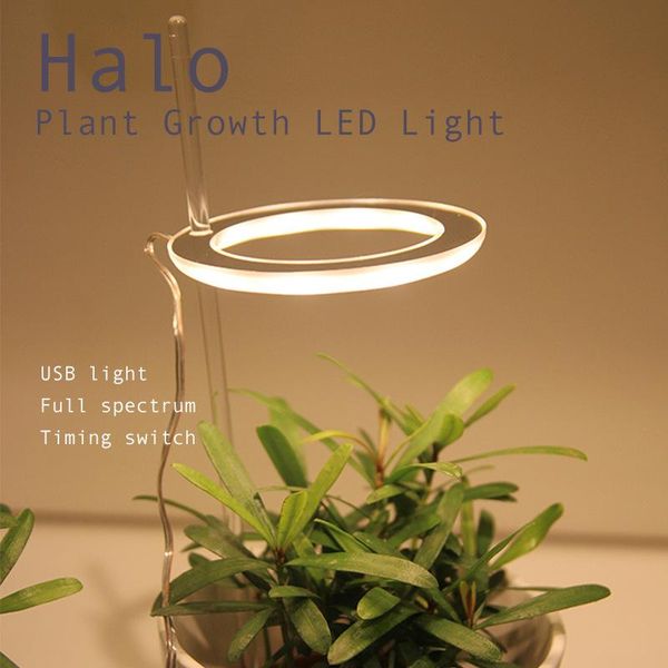 angel three ring growth light dc5v usb plant lights led full spectrum indoor seedlings household flower seedlings
angel three ring growth light dc5v usb plant lights led full spectrum indoor seedlings household flower seedlings