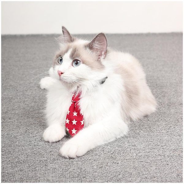 cat beds & furniture 1pc adjustable pet necklace neck tie cute convenient accessories useful dog striped bow supplies
cat beds & furniture 1pc adjustable pet necklace neck tie cute convenient accessories useful dog striped bow supplies