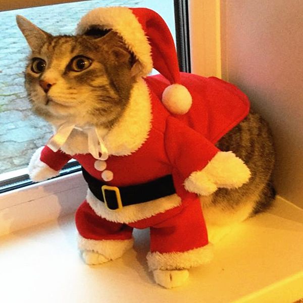 cat costumes christmas funny santa claus clothes for small cats dogs xmas year pet clothing winter kitty kitten outfits
cat costumes christmas funny santa claus clothes for small cats dogs xmas year pet clothing winter kitty kitten outfits