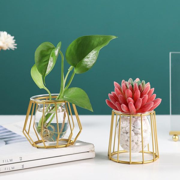 vases modern tablehydroponic planter planting container for home garden wedding decor
vases modern tablehydroponic planter planting container for home garden wedding decor